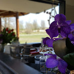 Photo n°27 de l'avis de Ingo-Wolfgang.i fait le 04/04/2019 à 09:57 sur le  Kleiner Cavalier à Cottbus