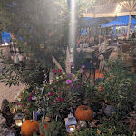 Photo n°7 de l'avis de Rebecca.a fait le 26/02/2024 à 07:33 sur le  Heuchelberger Warte à Leingarten