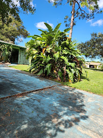 Caribe Lawn Maintenance - Photo 5 - Car repair in , Clearwater