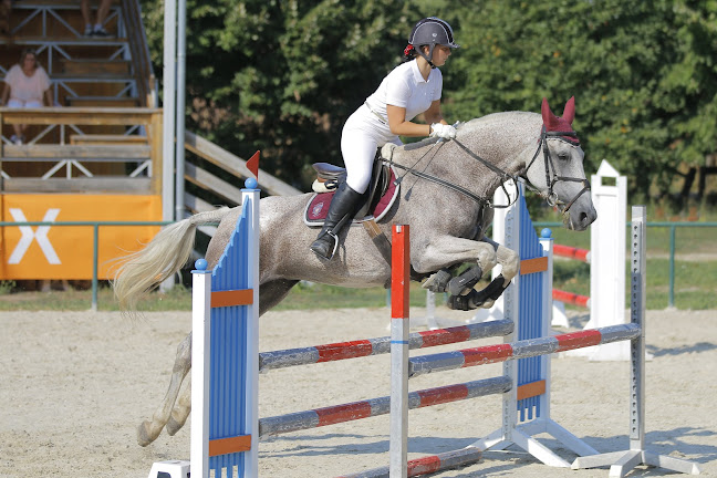 Opinii despre Ürgehegyi LSE în Kecskéd - Szórakozóhely