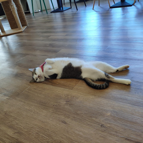 241B Victoria St, Singapore 188030