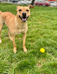 Greensburg Bed & Biscuit - Photo 3 - Car repair in Martinsburg, WV, Hagerstown