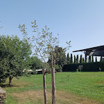 Photo n°2 de l'avis de Anca.o fait le 02/08/2023 à 00:23 sur le  Vannulo mozzarelle à Capaccio Scalo