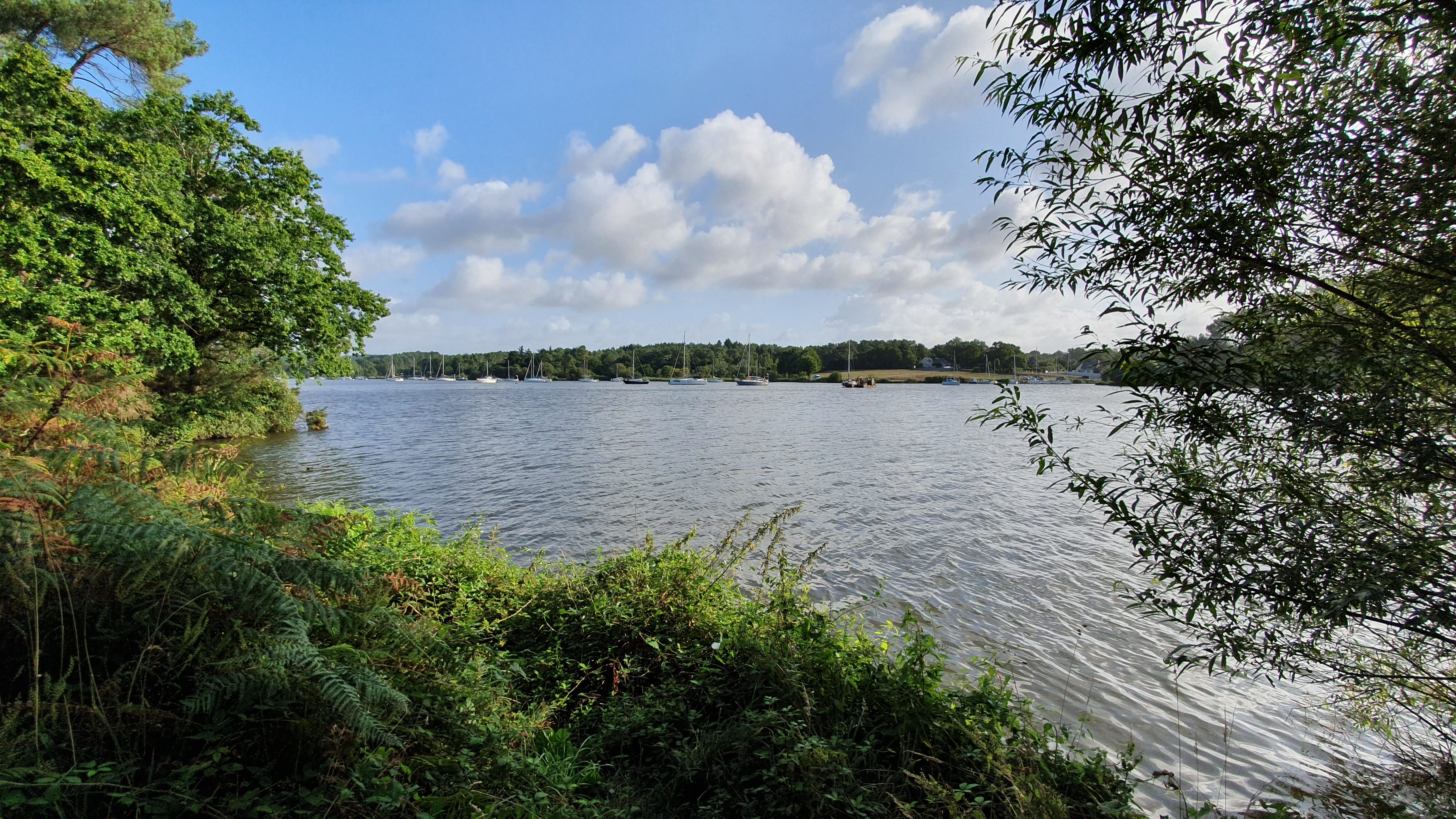 Photo n° 2 de l'avis de claude.i fait le 20/08/2019 à 09:52