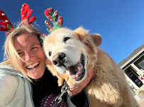 Wild Paws - Photo 9 - Car repair in , Centennial