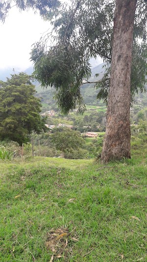 Cancha De Cosdecol - photo 1