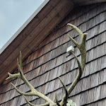 Photo n°4 de l'avis de Maren.u fait le 16/08/2023 à 20:38 sur le  Torfhaus HARZRESORT à Altenau