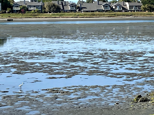 Gym «Harbor Bay Club», reviews and photos, 200 Packet Landing Rd, Alameda, CA 94502, USA