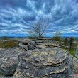 Dorsey's Knob Park and Disc Golf Course