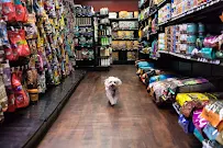 Wespaw Pets - Car repair in Sunnyside, NY, New York - Rated 4.7/5