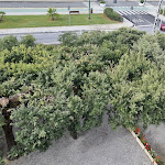 Photo n°9 de l'avis de Antonella.e fait le 28/09/2022 à 08:02 sur le  Hotel Atlantico à Forte dei Marmi