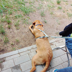 Photo n°5 de l'avis de Tanja.h fait le 30/06/2023 à 14:02 sur le  Mink´s Catering & Imbiss à Weidenthal