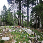 Photo n°2 de l'avis de erika.a fait le 02/07/2023 à 12:55 sur le  Rifugio Val Formica Cima Larici à Asiago
