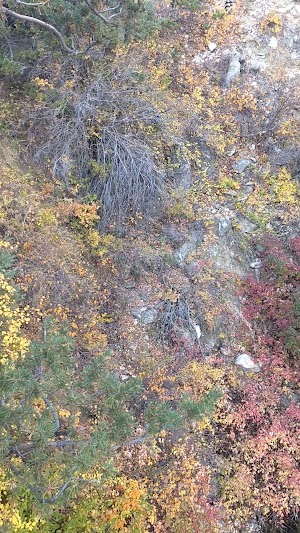 Sinks Canyon State Park - photo 81