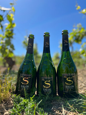 Delamotte à Le Mesnil-sur-Oger