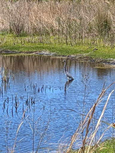 Nature Preserve «Perico Preserve», reviews and photos, 11700 Manatee Ave W, Bradenton, FL 34209, USA