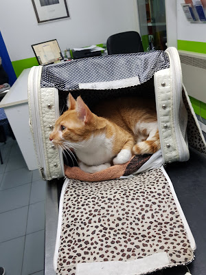 SCP Drs Veterinaires Reiller - Salle à Sarcelles