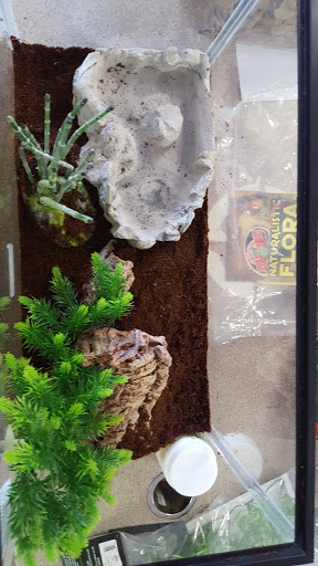 Pet Store «Parker Exotic Pets», reviews and photos, 17880 Cottonwood Dr, Parker, CO 80134, USA