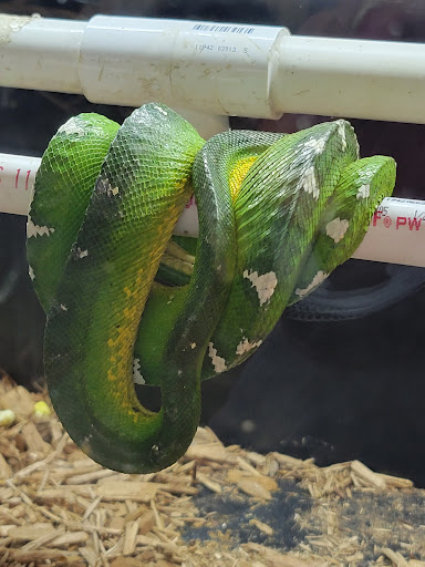 Pet Store «The Pet Zone», reviews and photos, 20 W Oak St, Pittston, PA 18640, USA