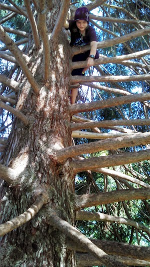 Hereth Park - photo 48