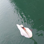 Photo n°4 de l'avis de Claudio.u fait le 24/12/2017 à 14:29 sur le  Lago La Sirenetta à Savigliano