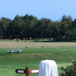 Photo n°3 de l'avis de Milan.l fait le 22/09/2020 à 11:11 sur le  Albarella Golf Hotel à Rosolina