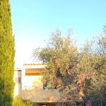 Photo n°2 de l'avis de giampaolo.i fait le 04/09/2021 à 07:06 sur le  Hotel Poggio degli Ulivi • Rodi Garganico à Rodi Garganico