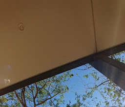 The Zone @ Rosebank bus stop photo