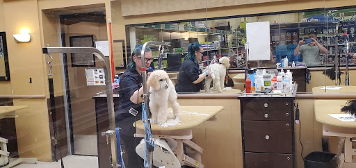 Pet Supply Store «PetSmart», reviews and photos, 8537 W Grand River Ave, Brighton, MI 48116, USA