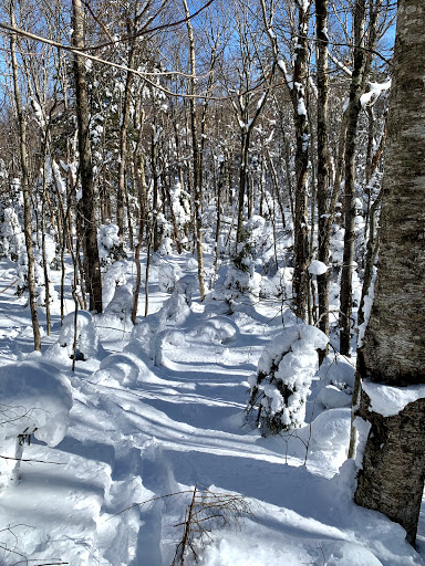 Nebraska Notch Trailhead