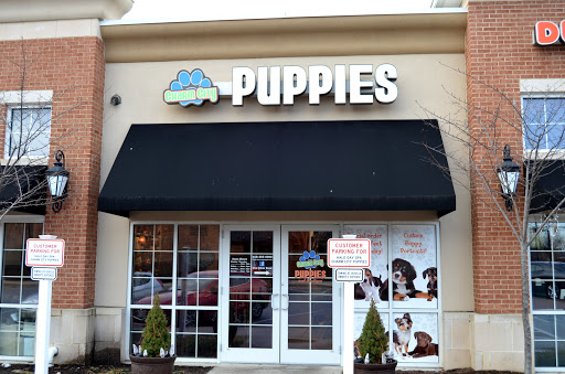 Pet Store «Charm City Puppies», reviews and photos, 8205 Snowden River Pkwy, Columbia, MD 21045, USA
