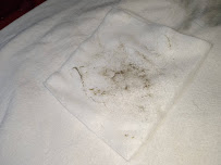 All About Skin and Lashes - Photo 9 - Car repair in Barberton, OH, Akron