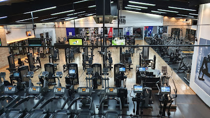 Academy 24 Premium Vila Gomes Cardim São Paulo SP