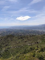 Photo n°18 de SACPA - Nice à Falicon ()