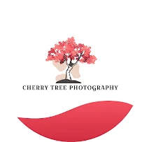 Cherry Tree Photography - Car repair in , Fredericksburg - Rated 0.0/5