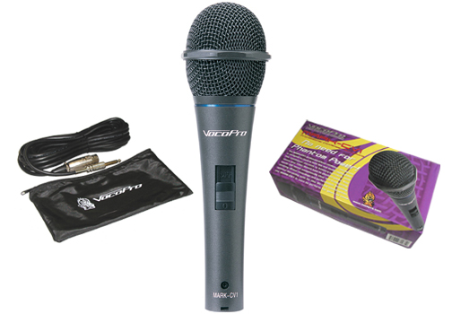 Karaoke equipment rental service Denton