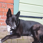 Photo n°1 de l'avis de Bianka.e fait le 13/05/2024 à 21:39 sur le  Serways Raststätte Vogtland Nord à Plauen