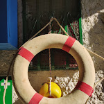 Photo n°4 de l'avis de Magdalena.o fait le 04/09/2022 à 16:22 sur le  Bar Il Gabbiano à Vernazza