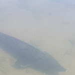 Photo n°22 de l'avis de Luca.i fait le 05/09/2022 à 06:43 sur le  Parco Laghi dei Reali à Tivoli