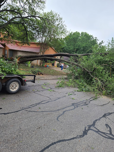 Kansas City Tree Service 3