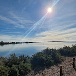 Photo n° 3 de l'avis de Anne.a fait le 03/12/2022 à 22:43 pour Les Aresquiers à Vic-la-Gardiole