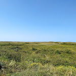 Photo n° 5 de l'avis de Danièle.c fait le 12/08/2021 à 08:21 pour Pointe de l'Aiguillon à L'Aiguillon-la-Presqu'île