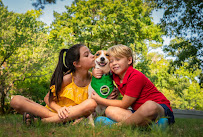 Mosquito Joe of Eastern NC - Photo 2 - Car repair in , Greenville