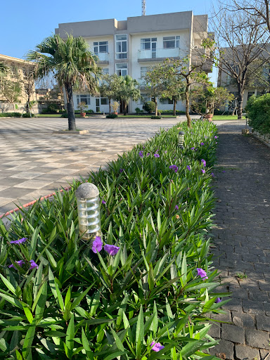 Top 10 cửa hàng đồ gỗ Huyện Đảo Cồn cỏ Quảng Trị 2022