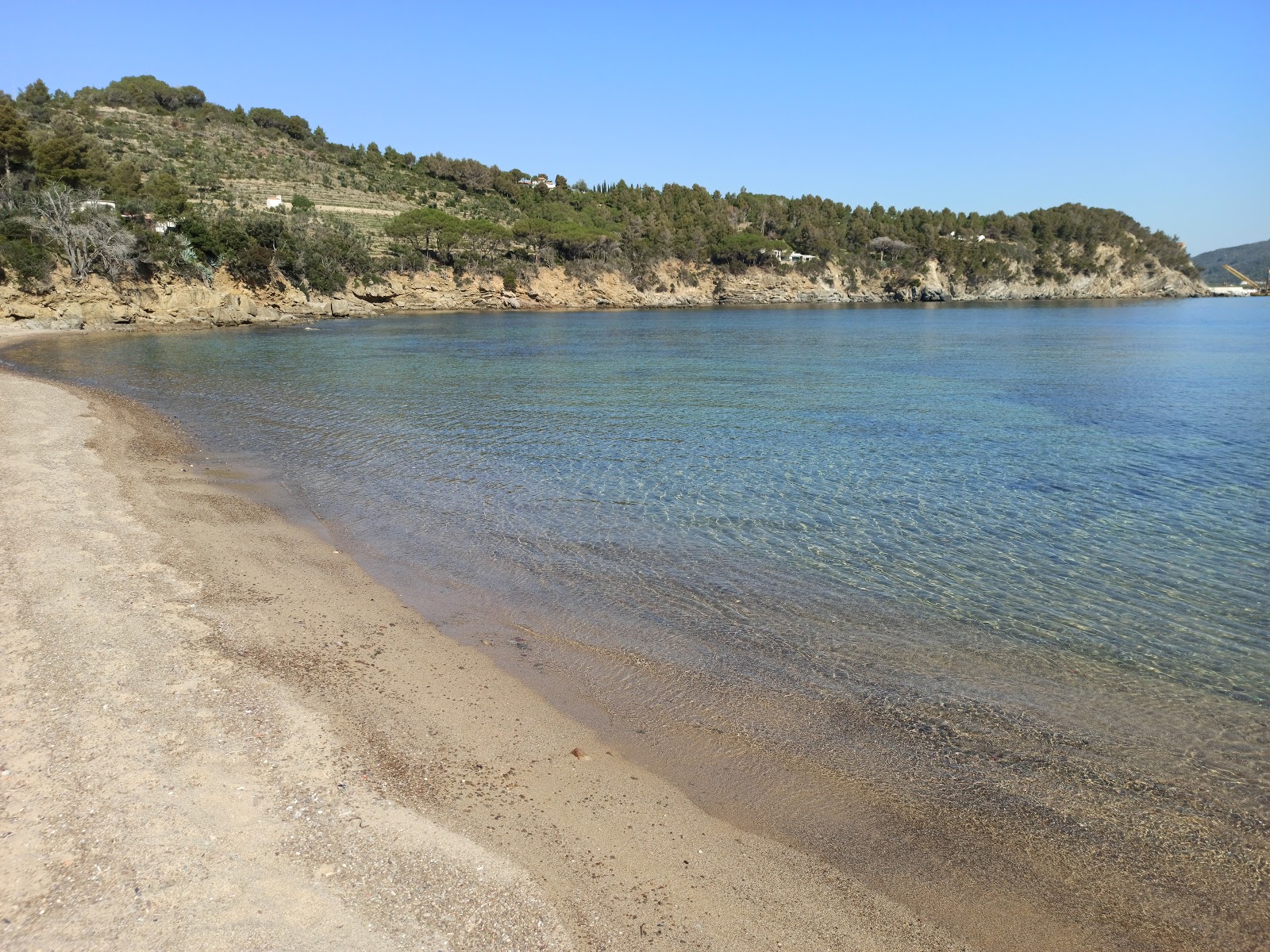 Foto von Spiaggia di Galenzana mit sehr sauber Sauberkeitsgrad