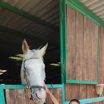 Photo n°4 de l'avis de andrea.a fait le 05/09/2023 à 03:15 sur le  Torre Sansanello à Corato