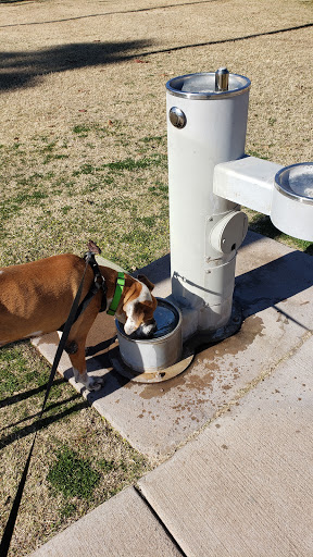 Park «Daley Park», reviews and photos, 1625 S College Ave, Tempe, AZ 85281, USA