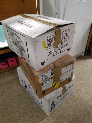 Tropical Fish Store «Pet Friendly Inc», reviews and photos, 845 Manitou Rd, Hilton, NY 14468, USA