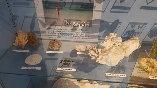 Museum «Indian Rocks Historical Museum», reviews and photos, 203 4th Ave N, Indian Rocks Beach, FL 33785, USA