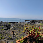 Photo n°3 de l'avis de Antonino.p fait le 23/08/2018 à 16:18 sur le  Arathena Rocks Hotel à Naxos